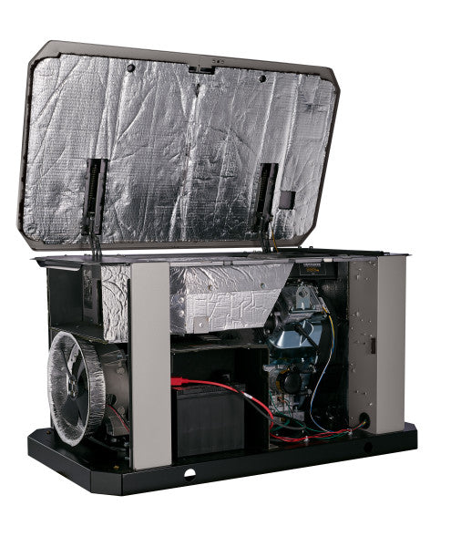 Briggs & Stratton 40677 Power Protect 20000 Watt Air-Cooled Whole House Generator with Dual 200 Amp Transfer Switch