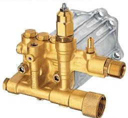 Pressure Washer Horizontal Replacement Pump 3000psi 2.5gpm #RMV25G30D-EZ-PKG